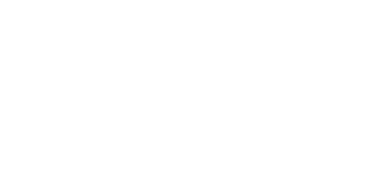 Kolesnik Creative Logo White