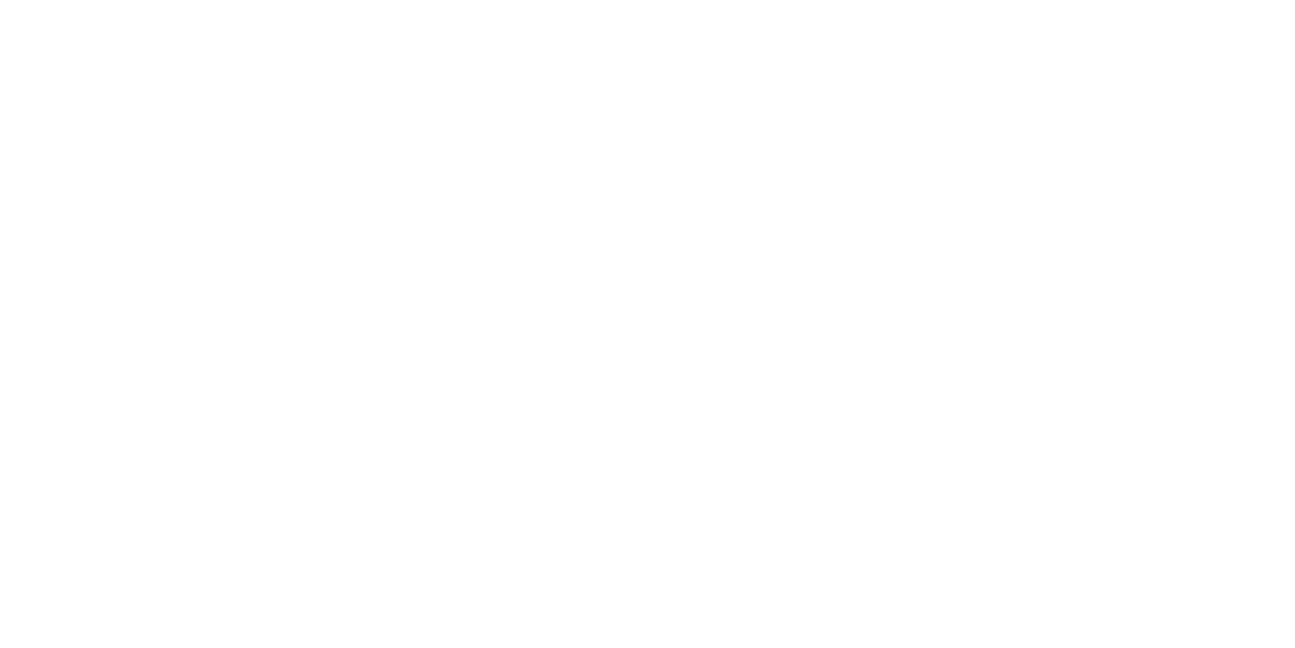 Kolesnik Creative Logo White